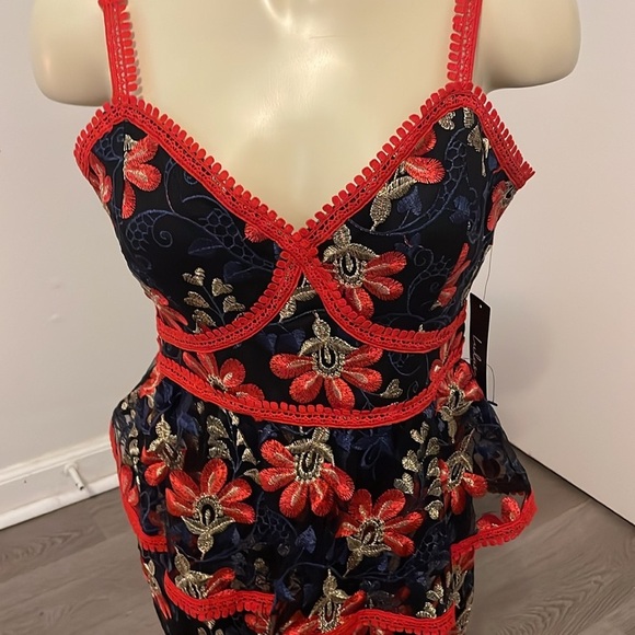 NWT - Lulu’s Karina Embroidered Floral Peplum Dress - Picture 5 of 7